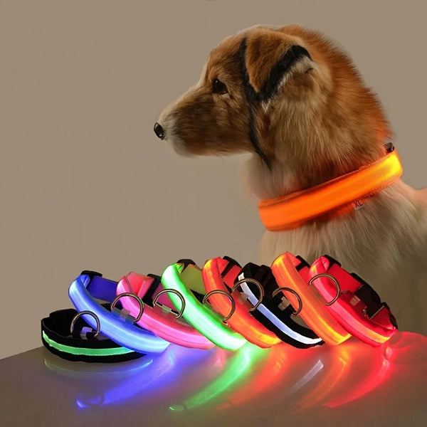 Coleira de segurança noturna com LED de nylon que brilha no escuro, coleira fluorescente luminosa para cães de estimação